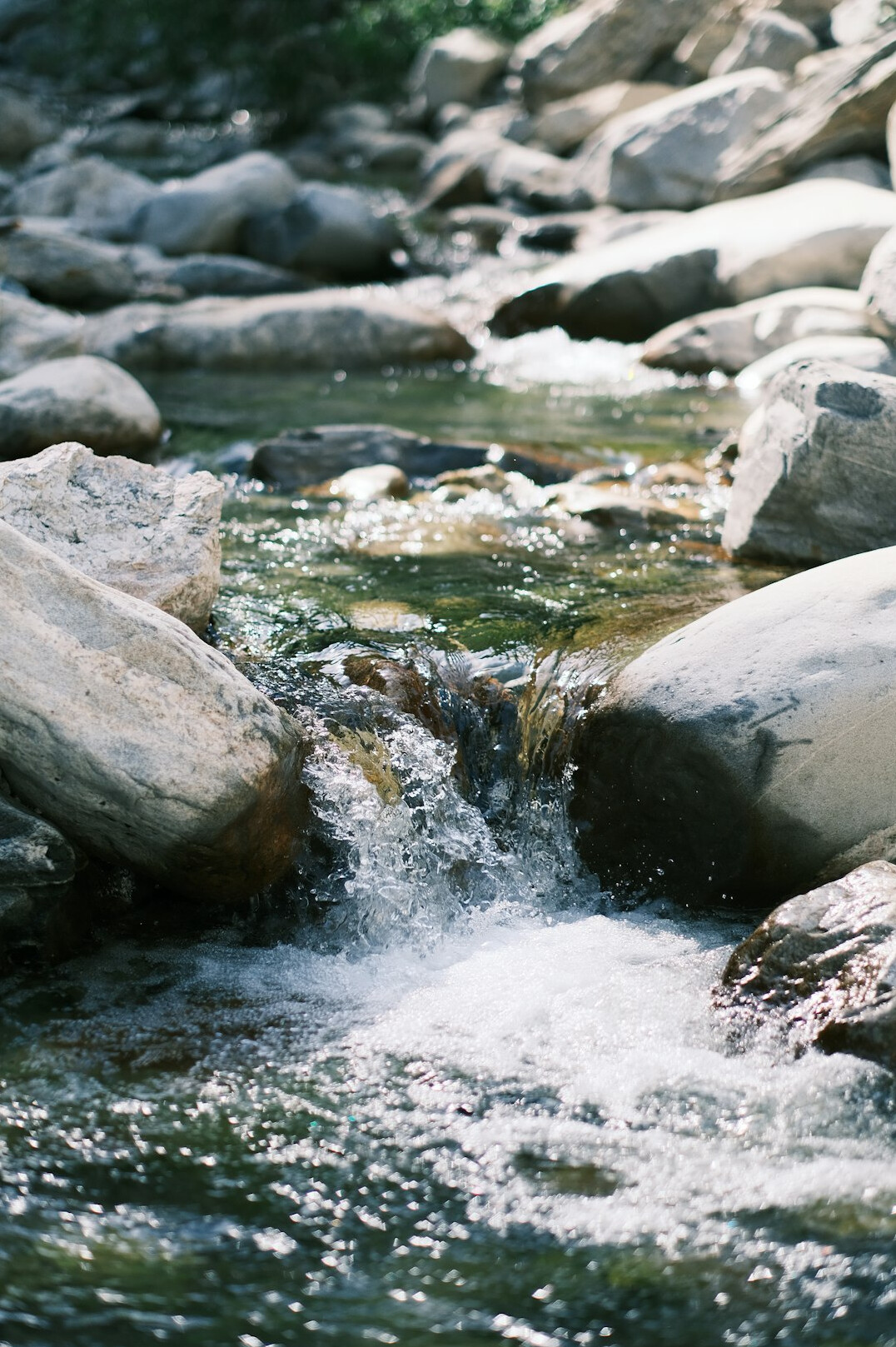 Clear river stream flowing over rocks in a natural landscape