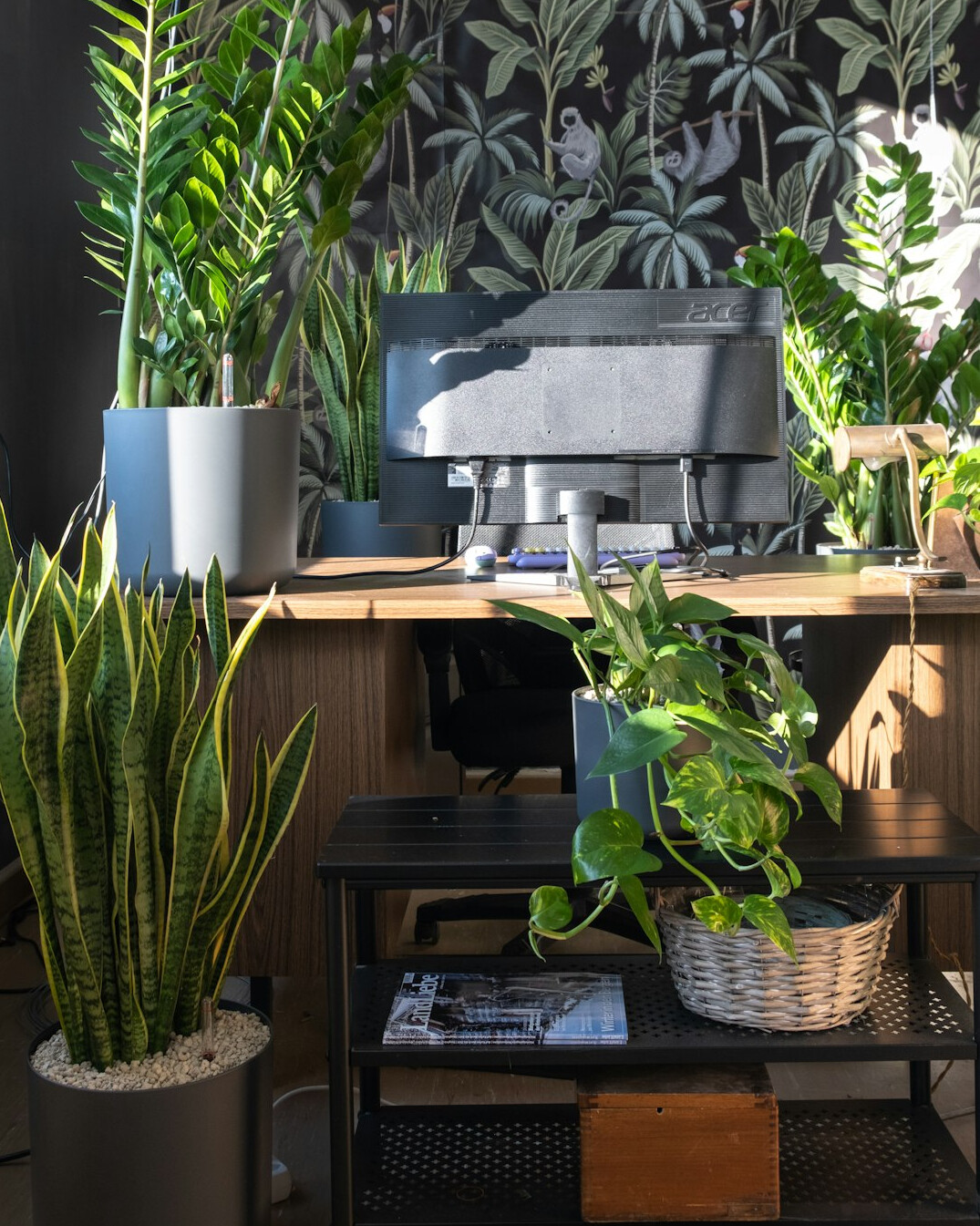 modern green office setup