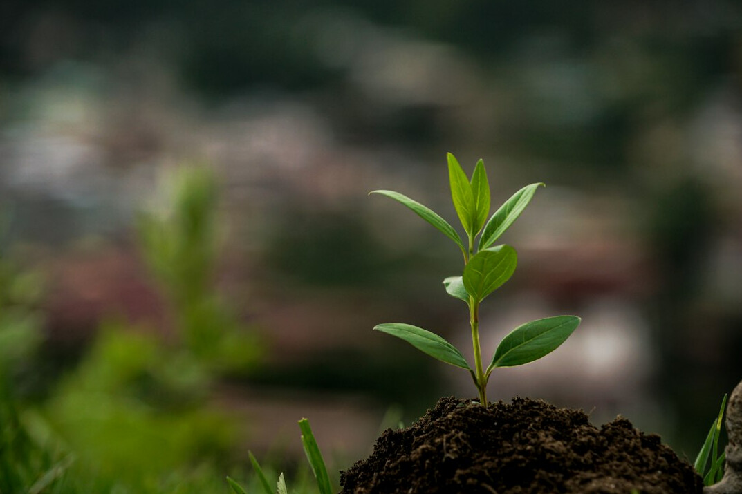 sustainable company growth
